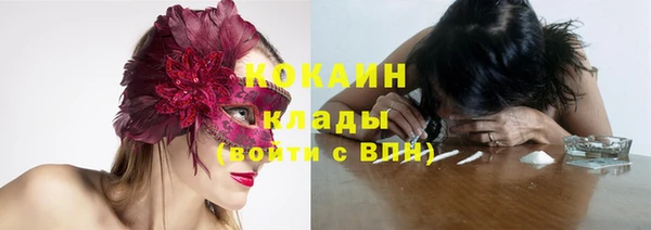 индика Алапаевск