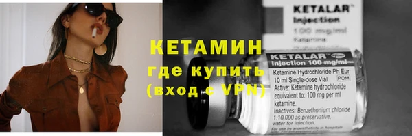 индика Алапаевск