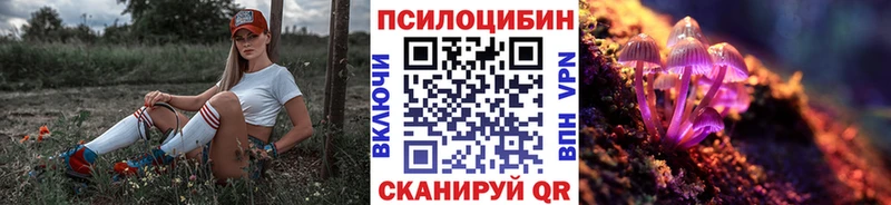 купить наркотики сайты  Шахты  Галлюциногенные грибы мухоморы 