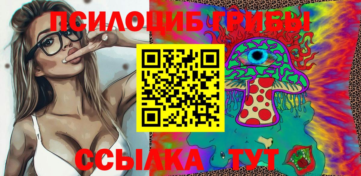 Шахты  Псилоцибиновые грибы GOLDEN TEACHER  Вход с VPN 